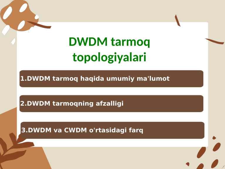 DWDM tarmoq topologiyalari