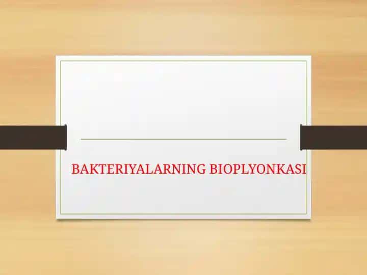 BAKTERIYALARNING BIOPLYONKASI