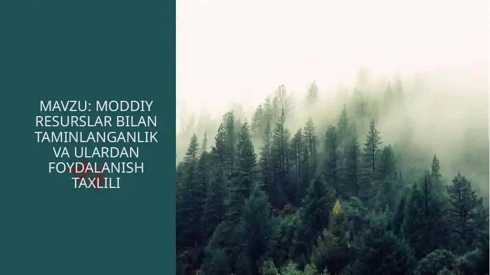 MAVZU: MODDIY RESURSLAR BILAN TAMINLANGANLIK VA ULARDAN FOYDALANISH TAXLILI