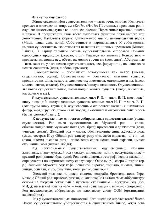 Имя существительное