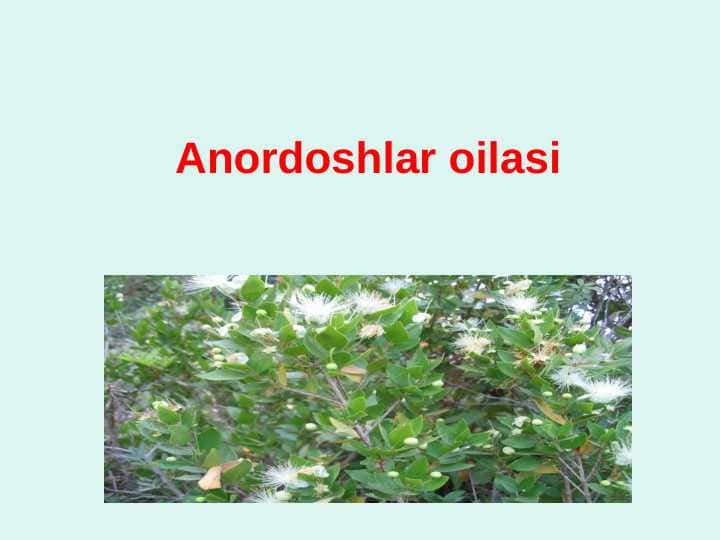 Anordoshlar oilasi
