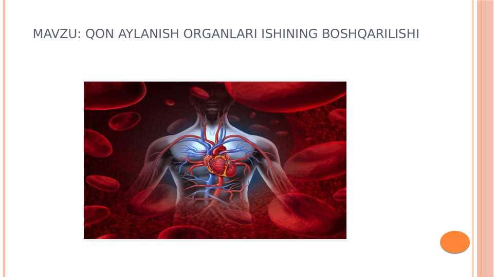 Qon aylanish organlari ishining boshqarilishi