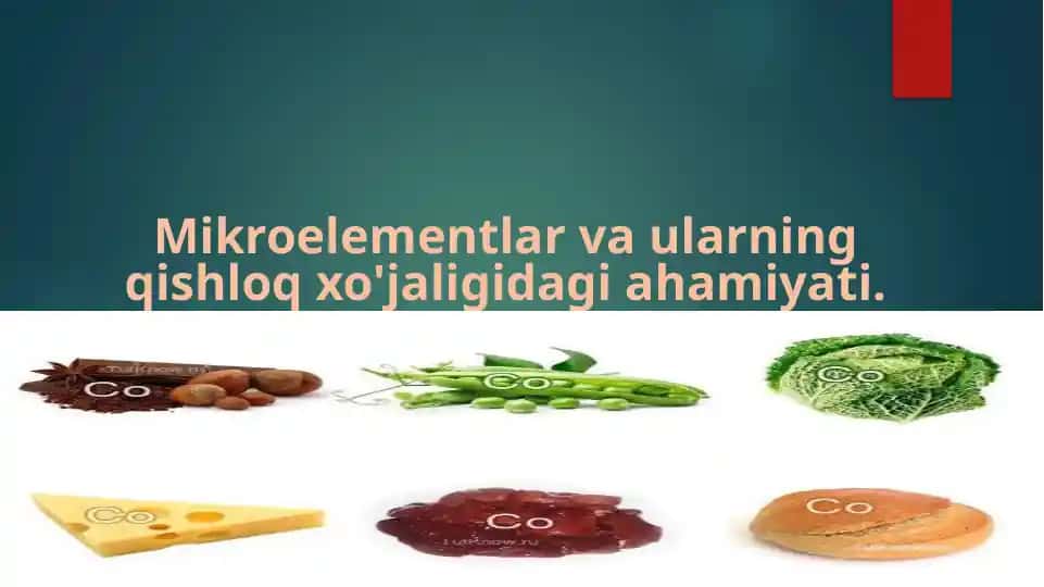 Mikroelementlar va ularning qishloq xo'jaligidagi roli