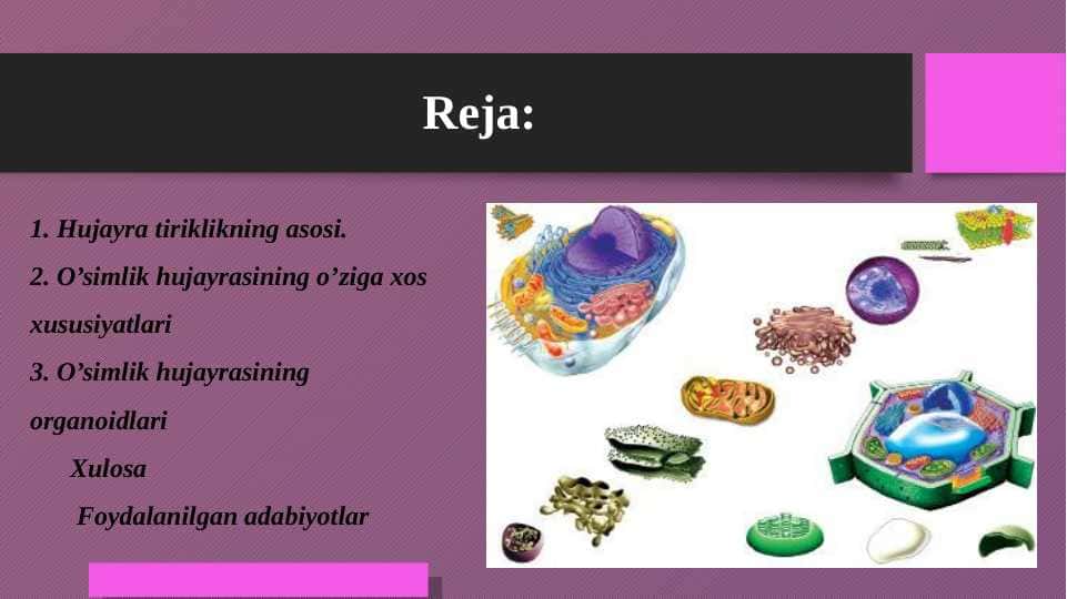 Hujayra – tiriklikning asosi