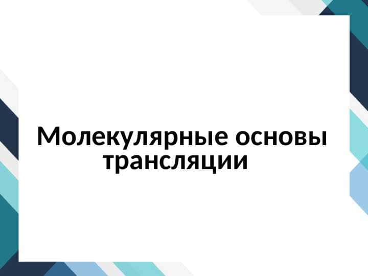 Молекулярные основы трансляции