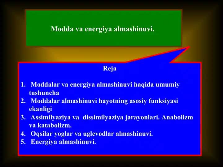 Modda va energiya almashinuvi