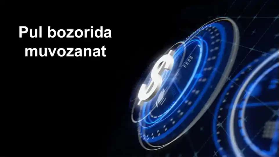 Pul bozoridamuvozanat
