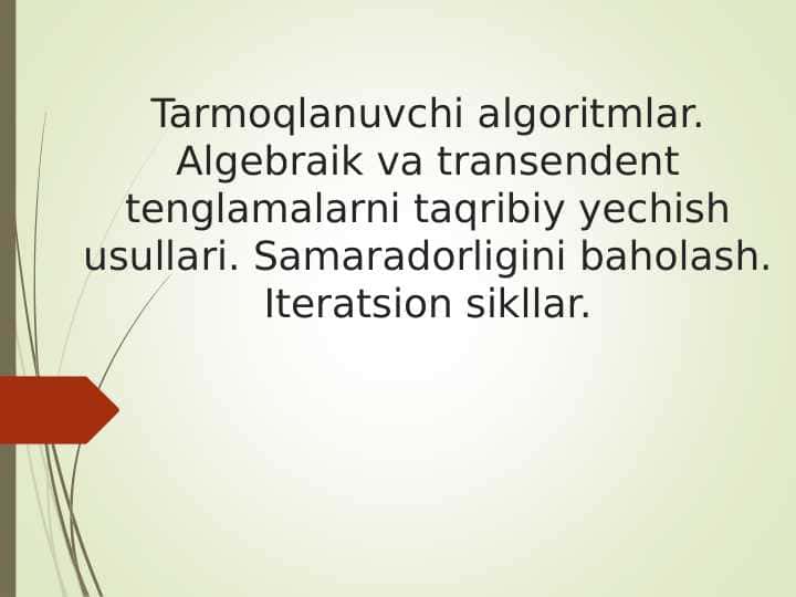 Tarmoqlanuvchi algoritmlar. Algebraik va transendent tenglamalarni taqribiy yechish usullari. Samaradorligini baholash. Iteratsion sikllar.