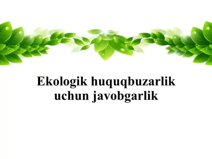 Ekologik huquq-buzarlik uchun javobgarlik