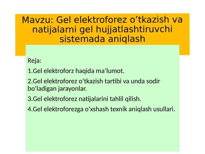 Gel elektroforez o’tkazish va natijalarni gel hujjatlashtiruvchi sistemada aniqlash