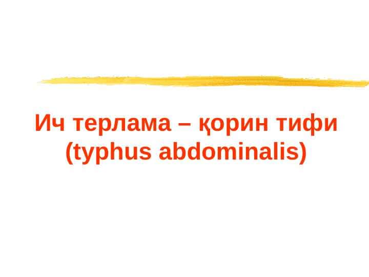 Ич терлама – қорин тифи (typhus abdominalis)