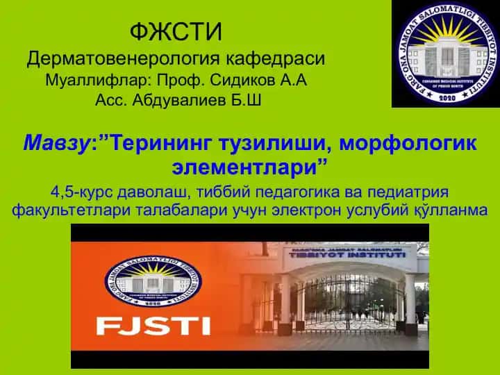 Терининг тузилиши, морфологик элементлари