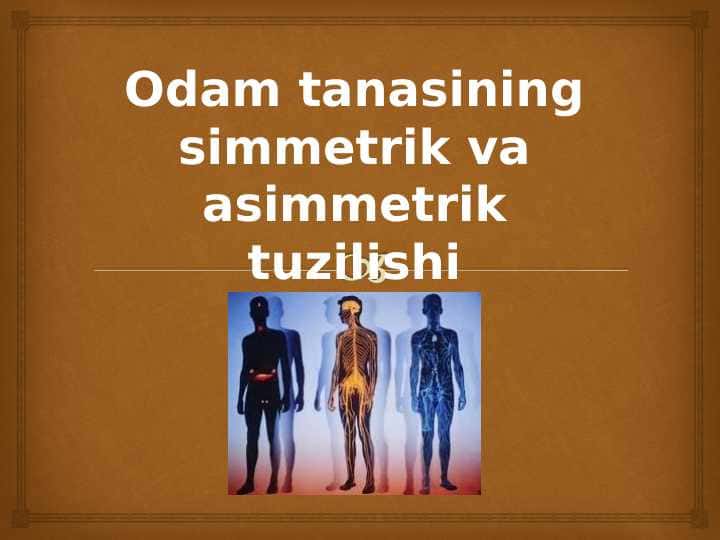 Odam tanasining simmetrik va asimmetrik tuzilishi