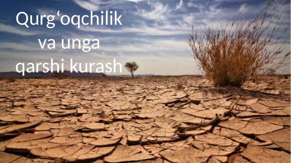 Qurg‘oqchilik va unga qarshi kurash