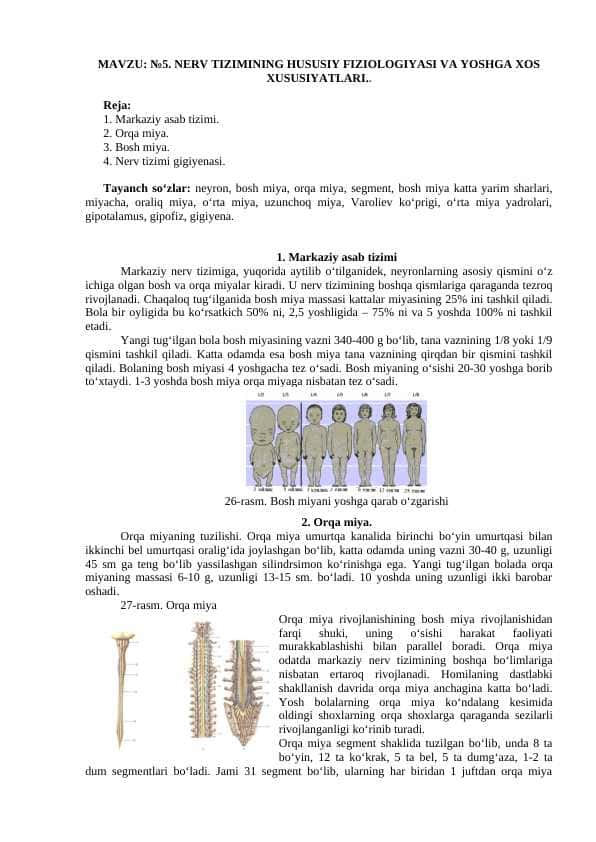 Nerv tizimining hususiy fiziologiyasi