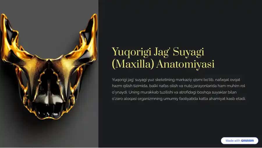 yuqorigi jağ suyagi