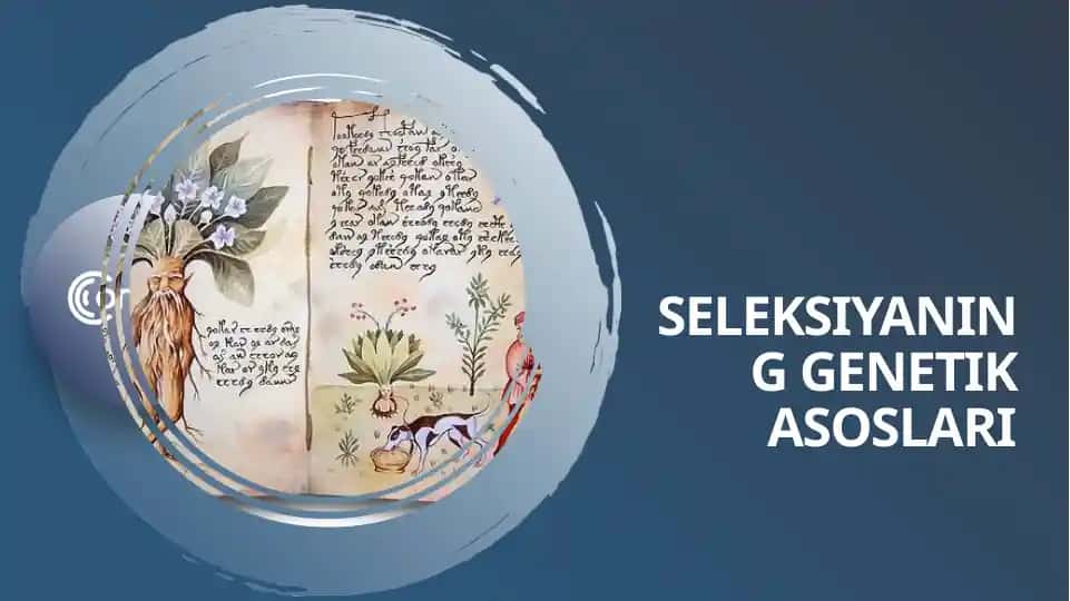 Seleksiyaning genetik asoslari