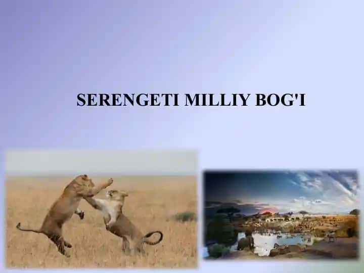 Serengeti milliy bog'i