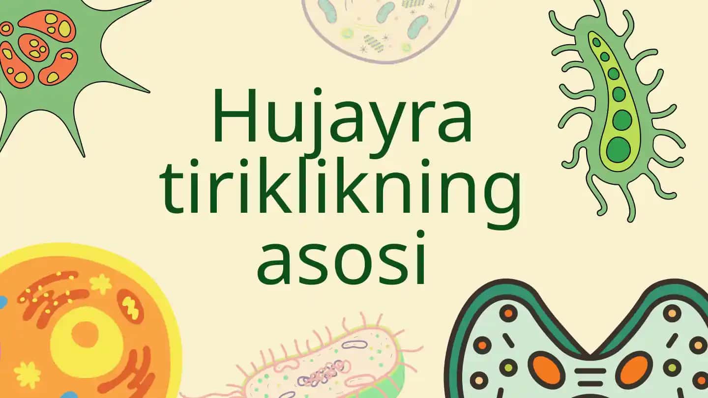 Hujayra tiriklikning asosi taqdimot