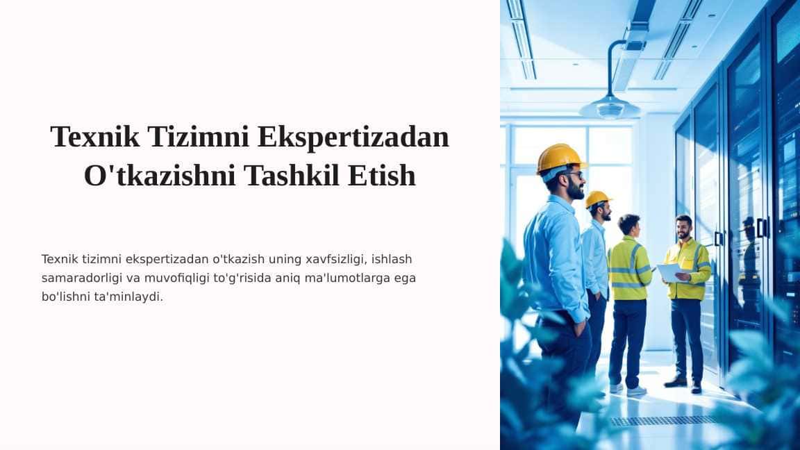 Texnik Tizimni Ekspertizadan O'tkazishni Tashkil Etish