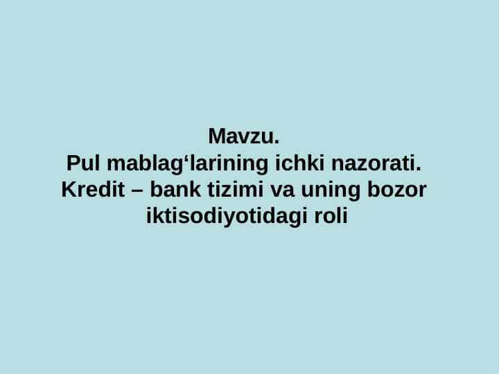 pul mablag'larining ichki nazorati