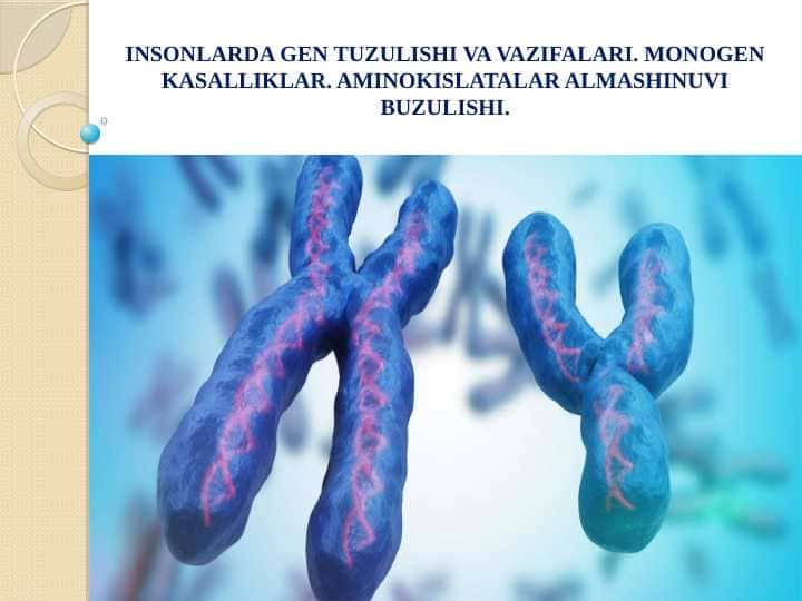 INSONLARDA GEN TUZULISHI VA VAZIFALARI. MONOGEN KASALLIKLAR. AMINOKISLATALAR ALMASHINUVI BUZULISHI.