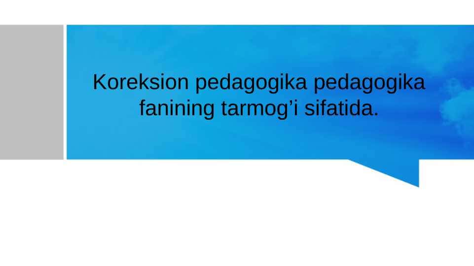 Koreksion pedagogika pedagogika fanining tarmog’i sifatida