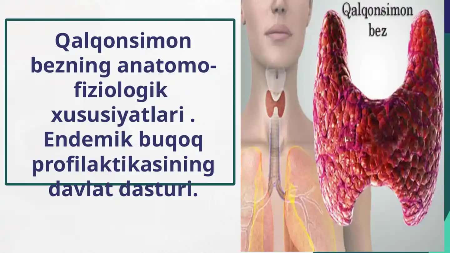 Qalqonsimon bezning anatomiyasi va fiziologiyasi.