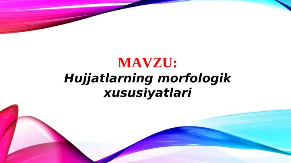 Hujjatlarning morfologik xususiyatlari