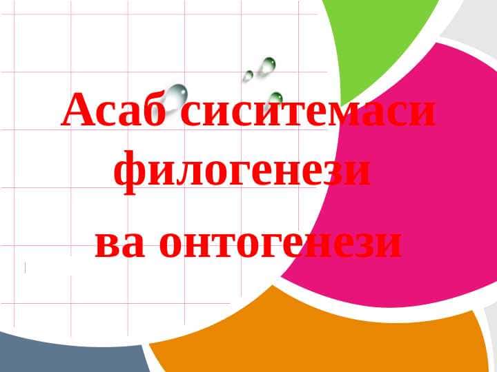 asab sistemasining ontogenezi