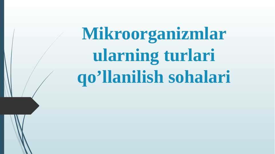 Mikroorganizmlar ularning turlari qoʼllanilish sohalari