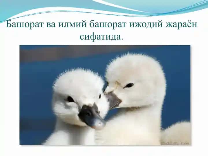 Башорат va ilmiy bashorot ijodiy jarayon sifatida