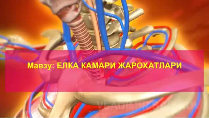 ЕЛКА КАМАРИ ЖАРОХАТЛАРИ