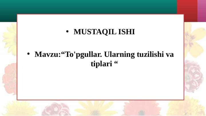 To'pgullar. Ularning tuzilishi va tiplari
