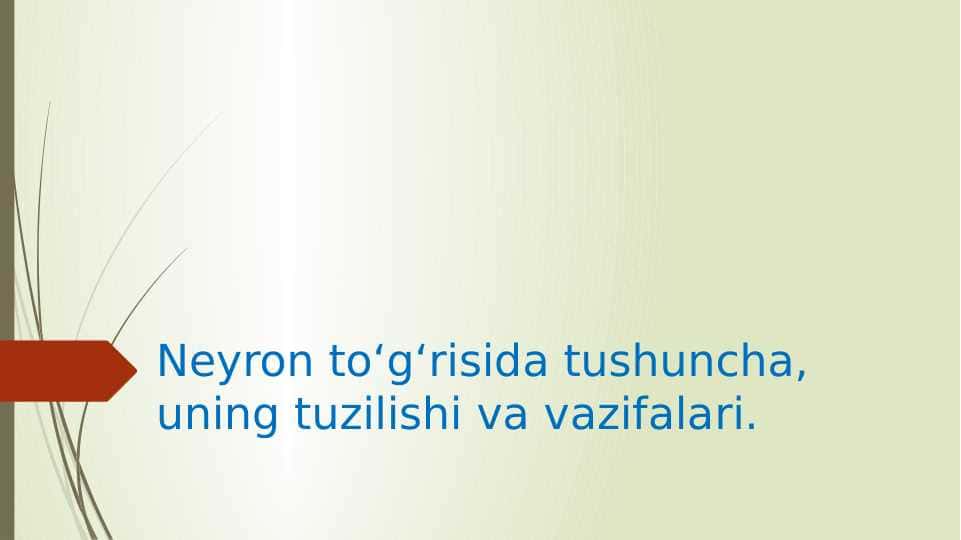 Neyron toʻgʻrisida tushuncha, uning tuzilishi va vazifalari