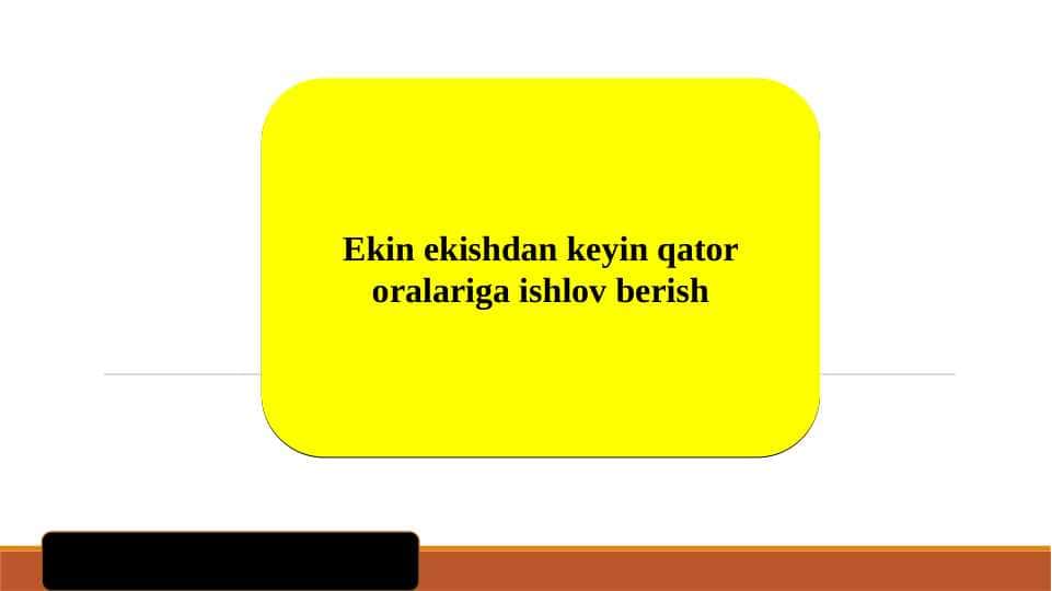 Ekin ekishdan keyin qator oralariga ishlov berish