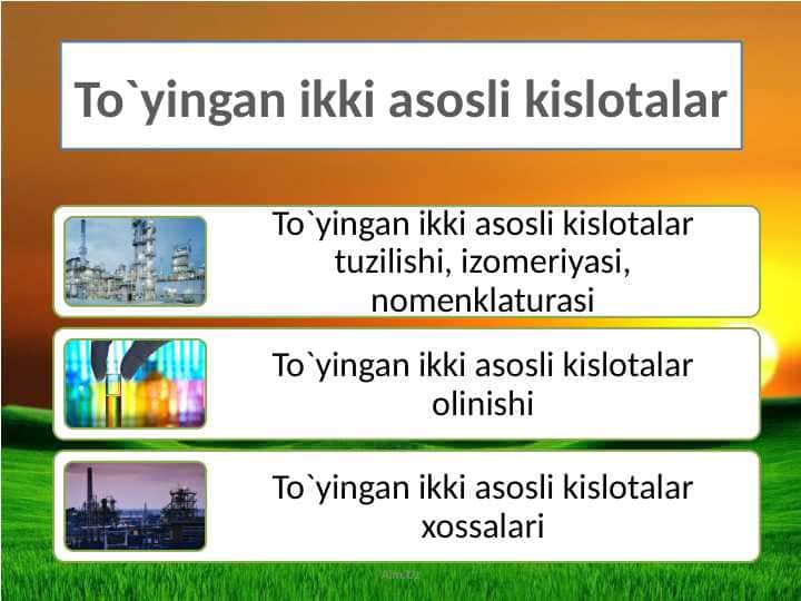 To'yingan ikki asosli kislotalar