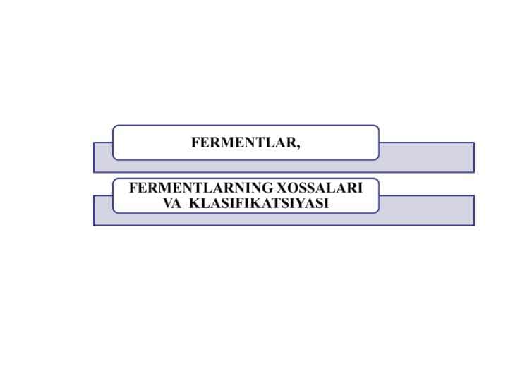 Fermentlar