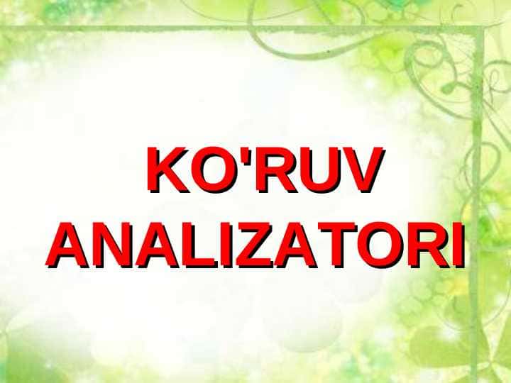 Ko'ruv analizatori