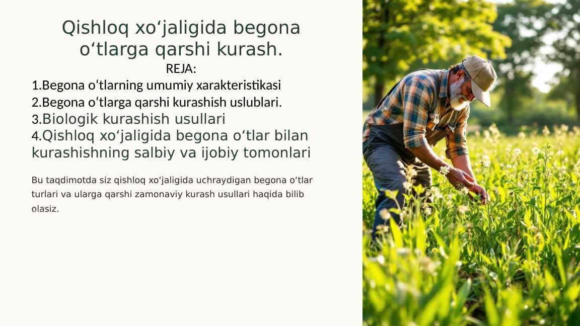 Qishloq xoʻjaligida begona oʻtlarga qarshi kurash.