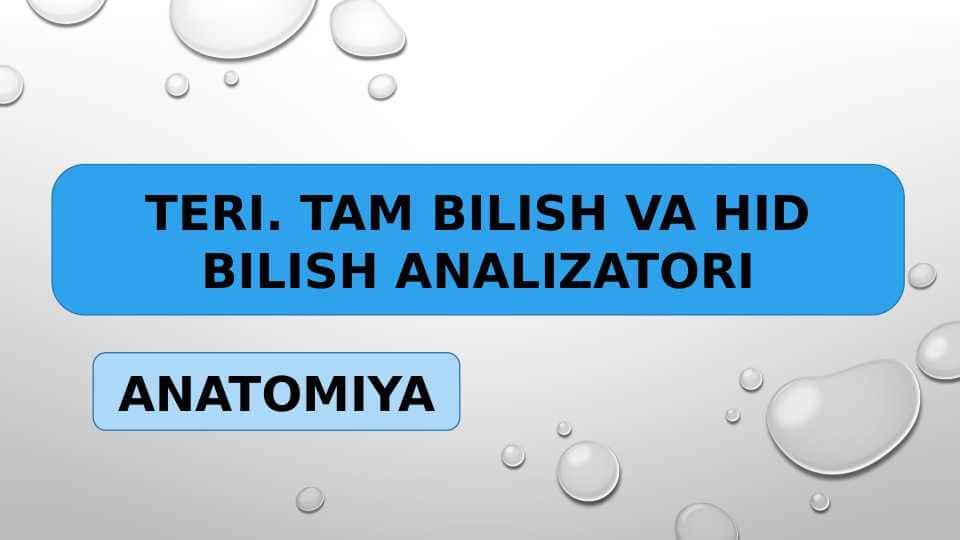 TERI. TAM BILISH VA HID BILISH ANALIZATORI