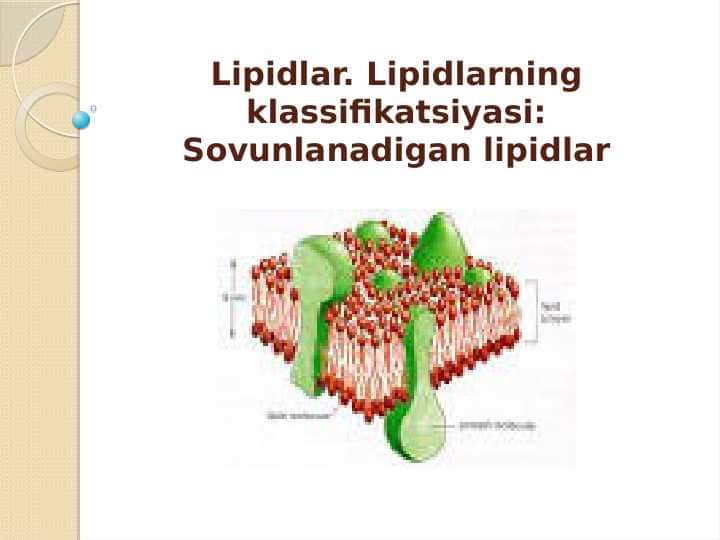 Lipidlar. Lipidlarning klassifikatsiyasi: Sovunlanadigan lipidlar