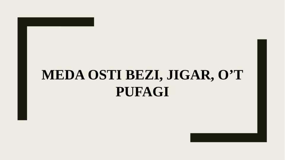 Meda osti bezi, jigar, o’t pufagi