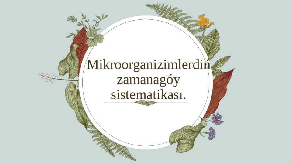 Mikroorganizimlerdiń zamanagóy sistematikası