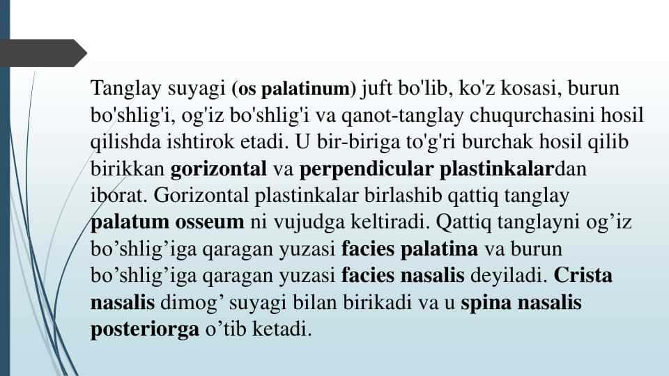 Tanglay suyagi (os palatinum)
