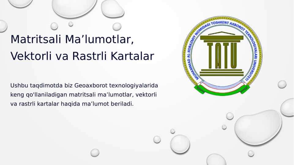 Matritsali Maʼlumotlar, Vektorli va Rastrli Kartalar