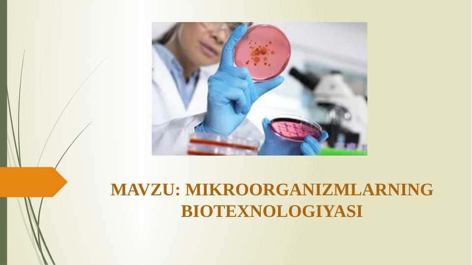 Mikroorganizmlarning biotexnologiyasi