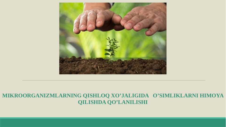 Mikroorganizmlarning qishloq xo’jaligida o’simliklarni himoya qilishda qo’lanilishi