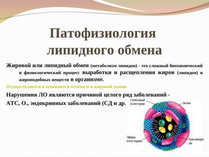 Патофизиология липидного обмена