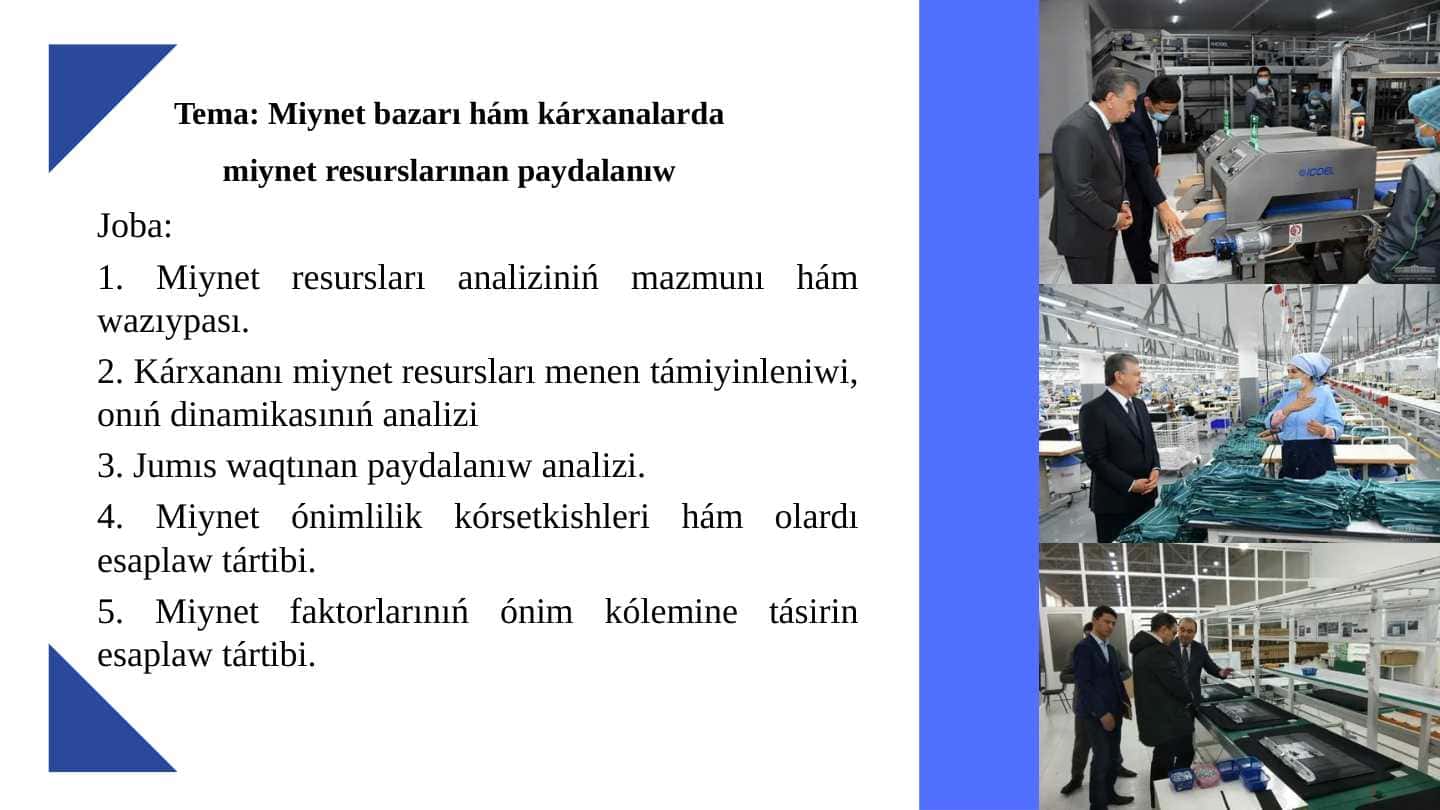 Miynet bazarı hám kárxanalarda miynet resurslarınan paydalanıw